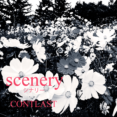 R.I.Pのジャケット写真