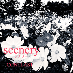 配信リリース第三弾